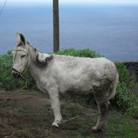 Arguamul Casa rural *