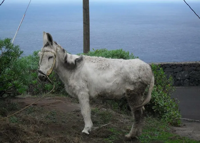 Arguamul Casa di campagna *